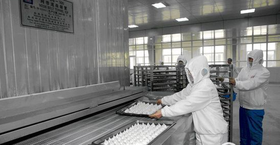 新型速凍水(shuǐ)餃流水(shuǐ)線工(gōng)藝